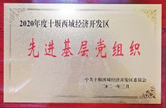 震序車船黨支部被授予2020年“先進(jìn)基層黨組織”稱號(hào)